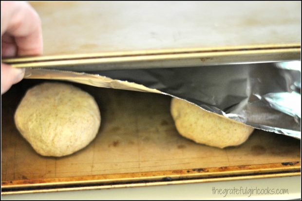 Homemade Hamburger Buns / The Grateful Girl Cooks!