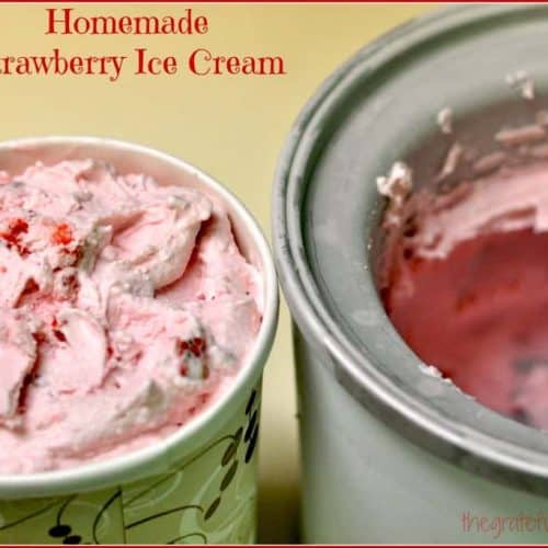 Krups vanilla ice cream recipe clearance