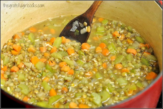 Lentil Stew ready to serve!