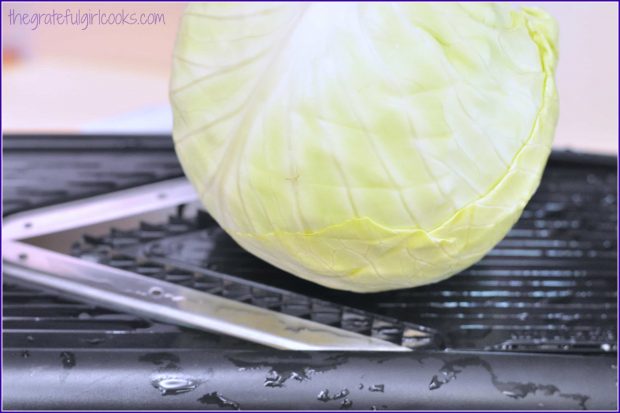 Green cabbage is shredded on a mandoline or box grater.