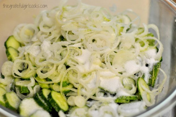 Pickling cucumbers, sliced onions and canning salt are mixed in large glass bowl