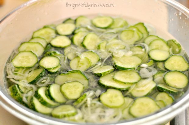 Sliced pickling cucumbers and onions submerged in water