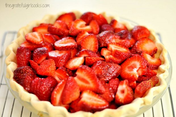 Strawberries arranged in baked pie crust, for strawberry pie!