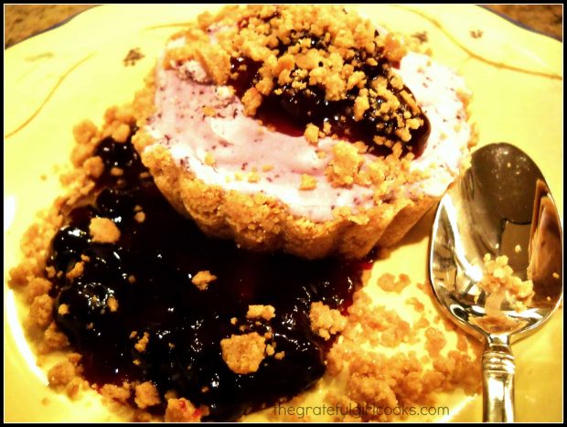 Blueberry Ice Cream Tart is garnished with sauce, and sprinkled with graham cracker crumbs to serve.