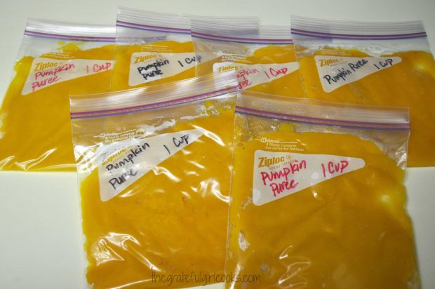 Pumpkin puree is placed into freezer bags to store in freezer, long term.