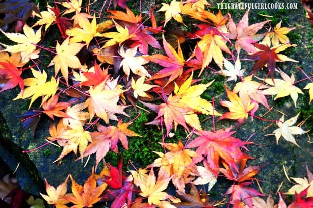 Fall leaves indicate it's time to make apple crisps, pies and cobblers!