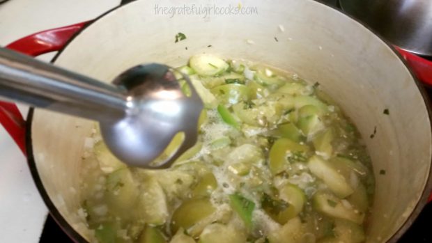 Using immersion blender to puree tomatillos in enchilada sauce