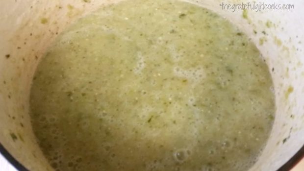 Cilantro lime enchilada sauce has been blended