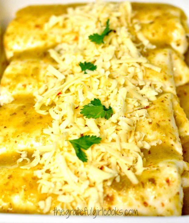 Chicken enchiladas with cilantro lime enchilada sauce