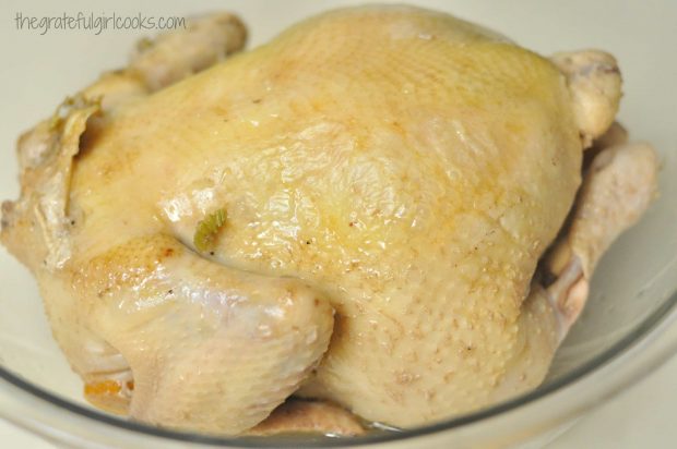 Fully cooked chicken ready for soup with dumplings