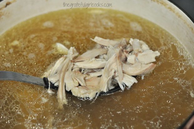 Shredded chicken is added back into broth before dumplings are added