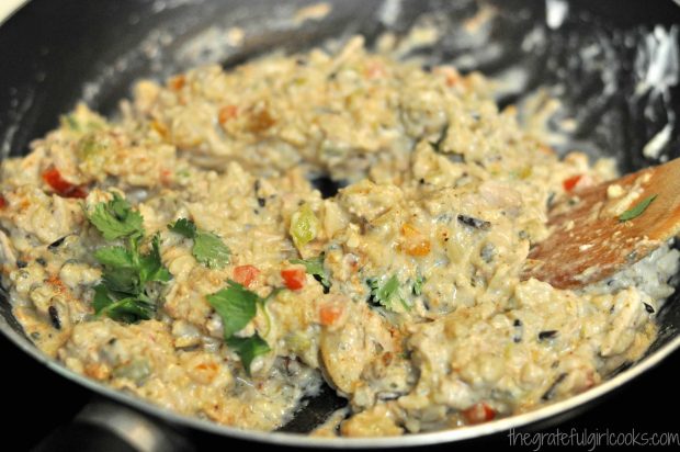 Pork Enchiladas With Cilantro Lime Sauce / The Grateful Girl Cooks!