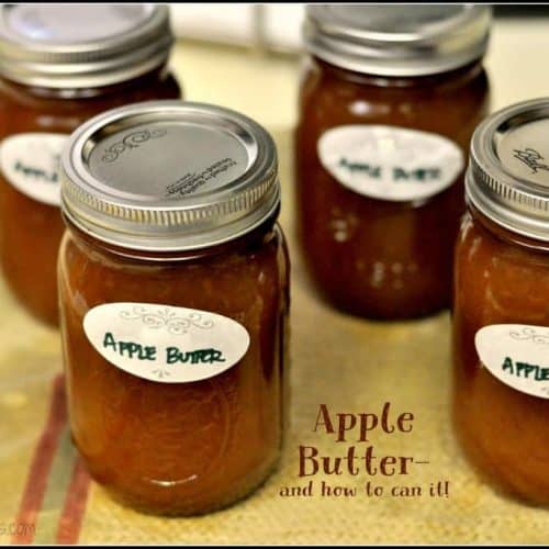 Apple Butter (and how to can it!) / The Grateful Girl Cooks!
