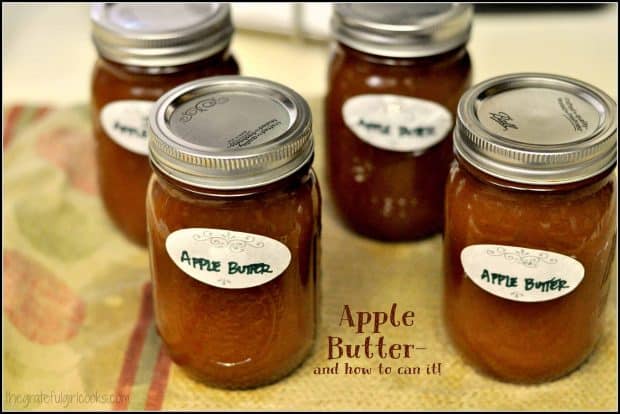 Smooth creamy apple butter is a delicious topping for toast, pound cake, or can be a sauce for roast pork. Learn how to can it with step by step instructions.