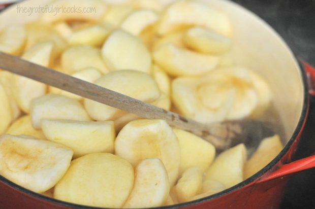 Apples and water in red saucepan