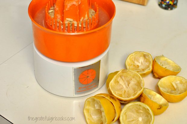 Tip Of the Day #6 - Freezing Lemon Juice In Small Portions / The Grateful Girl Cooks!