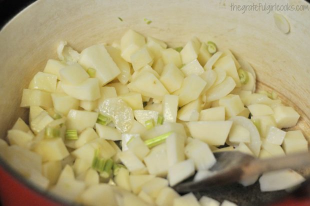 Potatoes, chicken broth and spices are added to the creamy potato leek soup in pot.