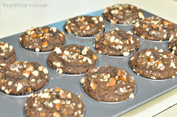 A dozen chocolate almond chia muffins cooling down in pan, after baking.