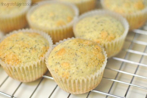 Muffins on wire rack cooling