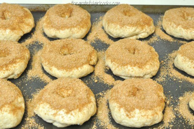 Cinnamon Crunch Bagels are topped with cinnamon sugar mix before they bake.