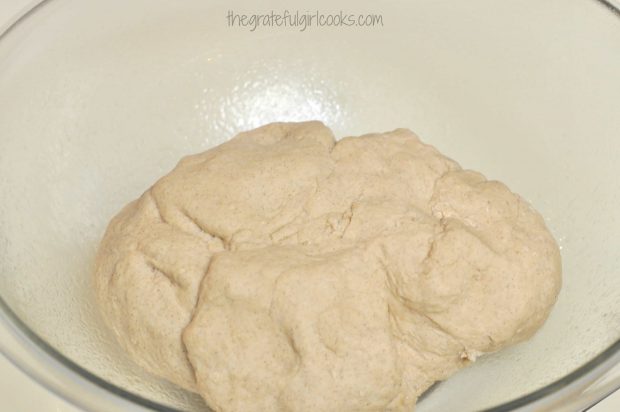 The dough for cinnamon crunch bagels in oiled bowl, waiting to rise.