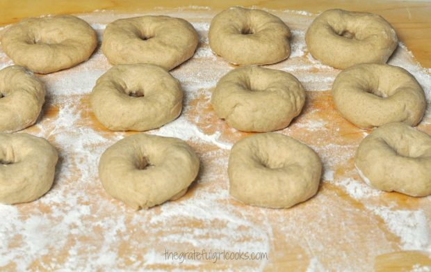 The dough for the cinnamon crunch bagels has been formed, and the bagels "rest".