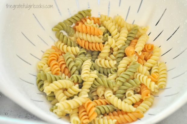 Cooked tri-color rotini pasta is drained, for salad