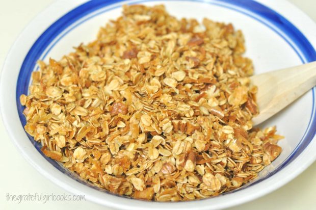 Coconut Pecan Chocolate Chip Granola / The Grateful Girl Cooks!