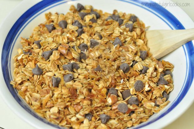 Coconut Pecan Chocolate Chip Granola / The Grateful Girl Cooks!