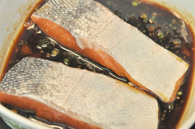 Two salmon fillets are marinating skin side up before cooking.