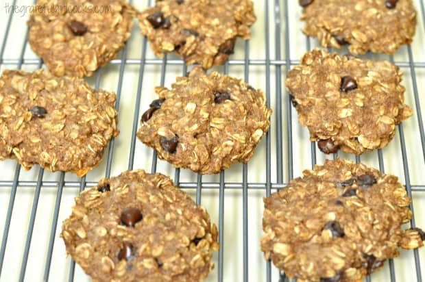 Baked 21 day fix oatmeal chocolate chip oatmeal cookies, cooling on wire rack.