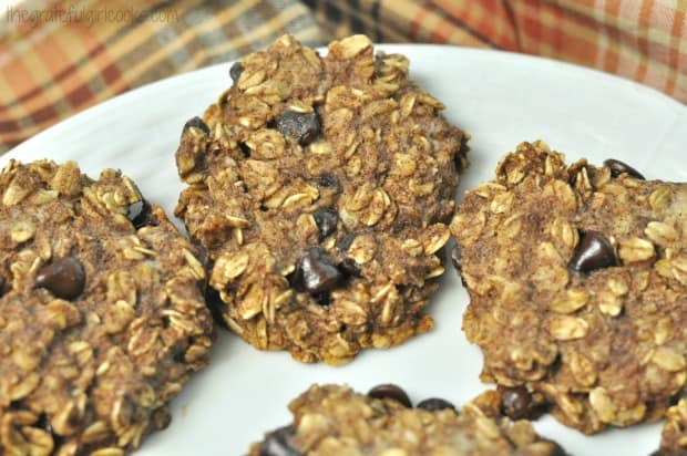 Three baked 21 day fix oatmeal chocolate chip cookies on white plate.