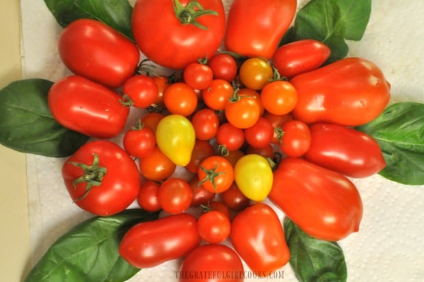 Some of the tomatoes we grew in our garden, used to make Italian-style tomato sauce.