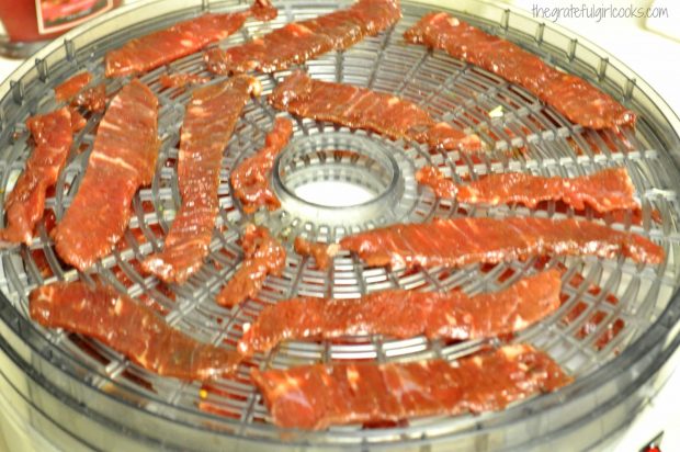 Strips of marinated beef in dehydrator