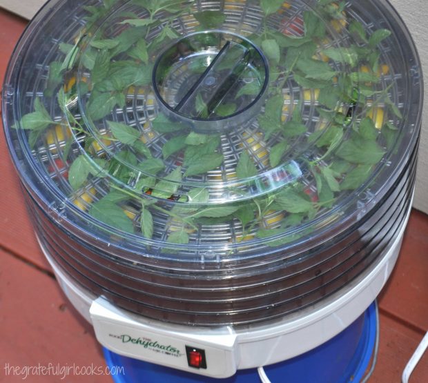 Food dehydrator with herbs inside