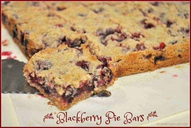 You'll LOVE these delicious dessert Blackberry Pie Bars, made with fresh juicy blackberries baked on a shortbread crust, with a buttery streusel crumb topping.