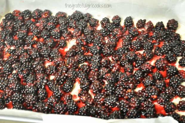 Blackberry filling spread out over bar cookie base in baking pan