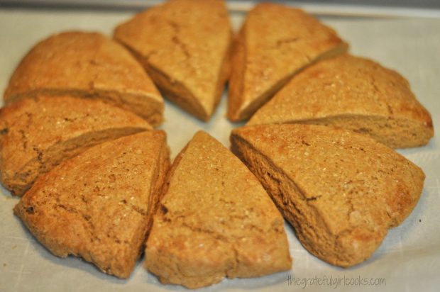 Baked gingerbread scones, right out of the oven.