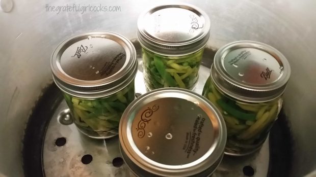 Filled jars are placed onto rack in simmering water in pressure canner