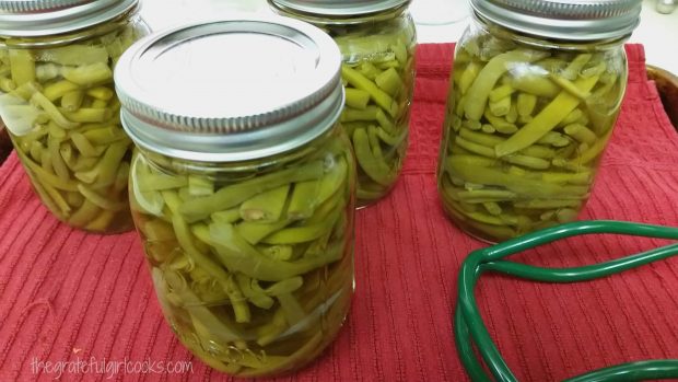 Cans of green beans are placed on dish towel to cool down after being removed from canner.
