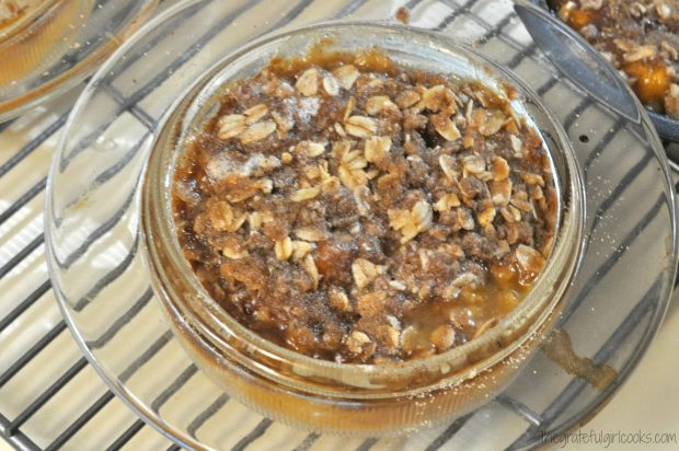 Old-Fashioned Peach Crisp is baked and ready to eat.