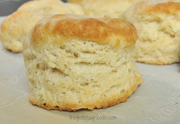 Close up of tall buttermilk biscuit