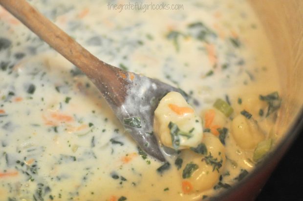 Gnocchi from soup, with spinach and carrots, on wooden spoon
