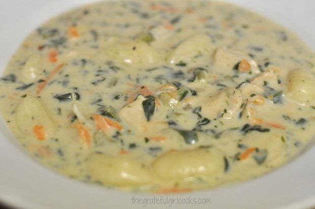 Soup, with chicken and gnocchi, is served in white bowl