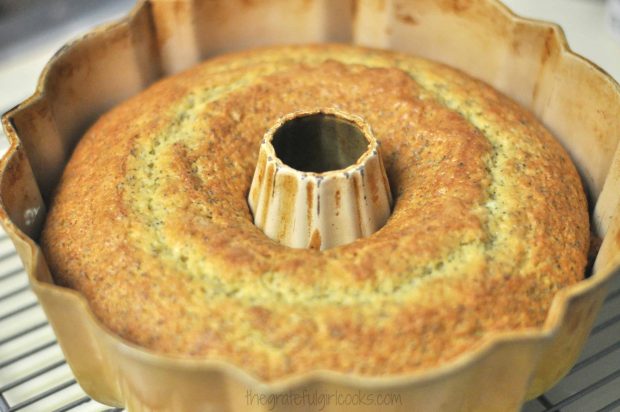 Fully baked poppyseed cake in bundt pan on rack