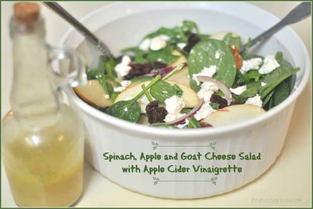 Spinach, Apple and Goat Cheese Salad with Apple Cider Vinaigrette / The Grateful Girl Cooks!