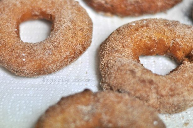 A cinnamon-sugar mixture coats these old-fashioned cake doughnuts.