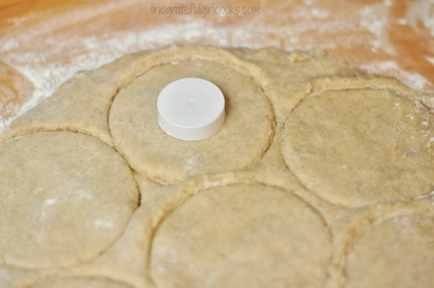 A bottle cap can be used to cut out the doughnut holes.