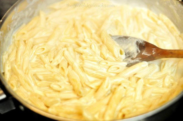 Penne pasta is coated with Alfredo sauce before adding shrimp.