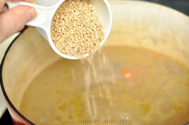 Barley being poured into soup pot